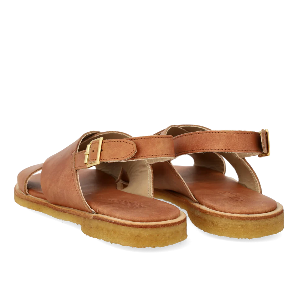 Klassisk korssandal, Nature