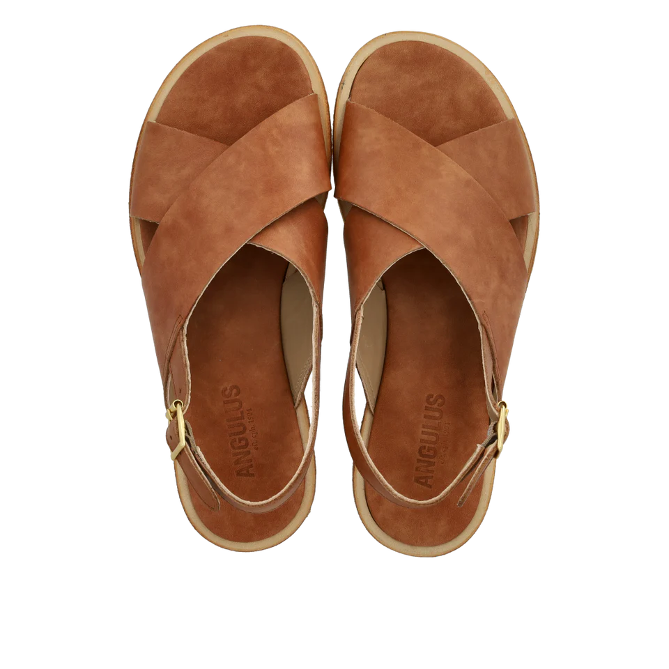 Klassisk korssandal, Nature