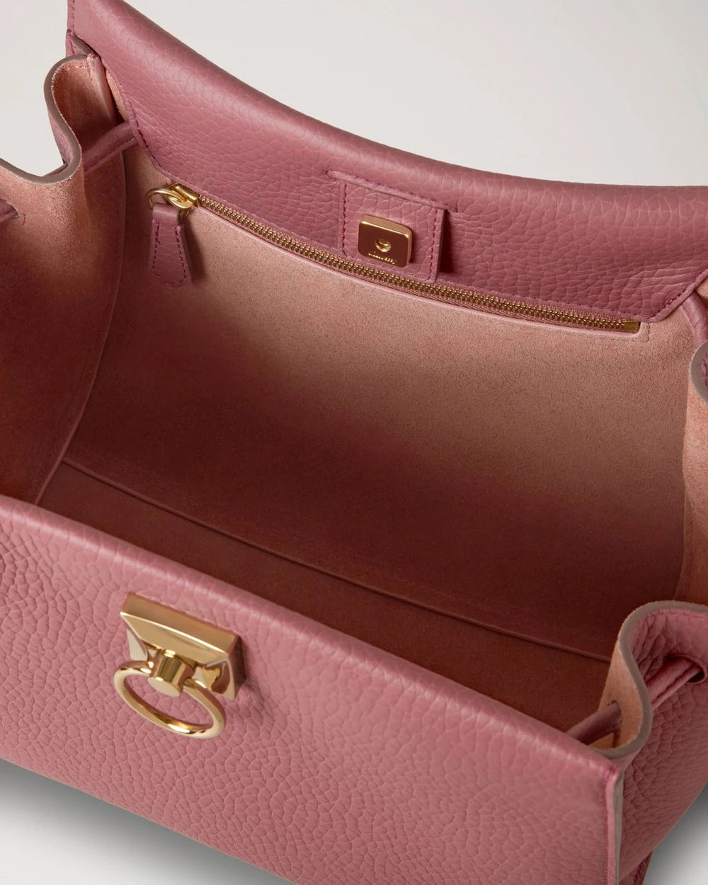 Small Iris, Pink Scrumpy