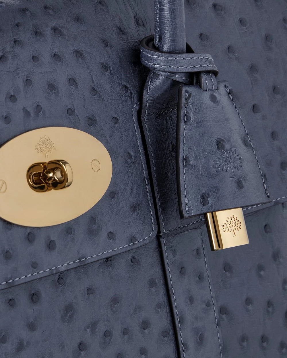 Bayswater strutstryck, stormig blå