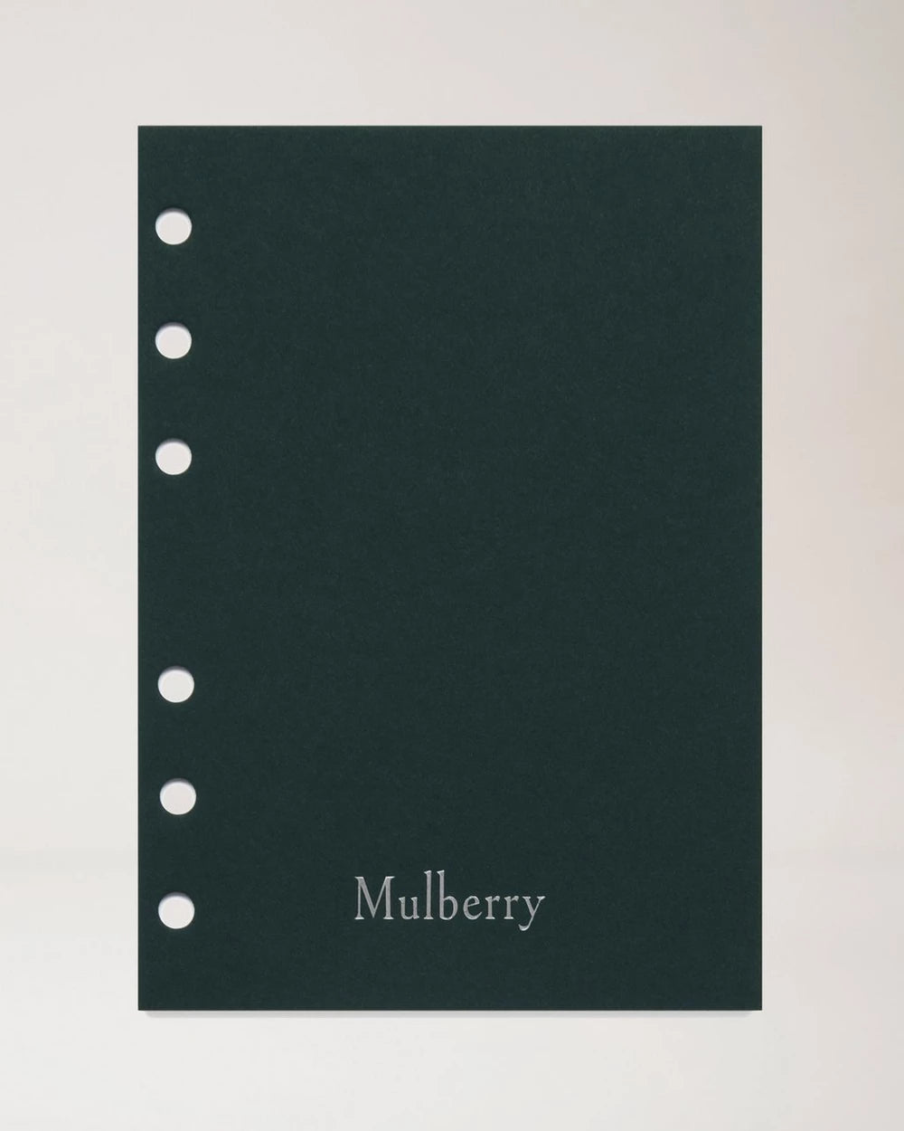 2027 Agenda Diary Insert