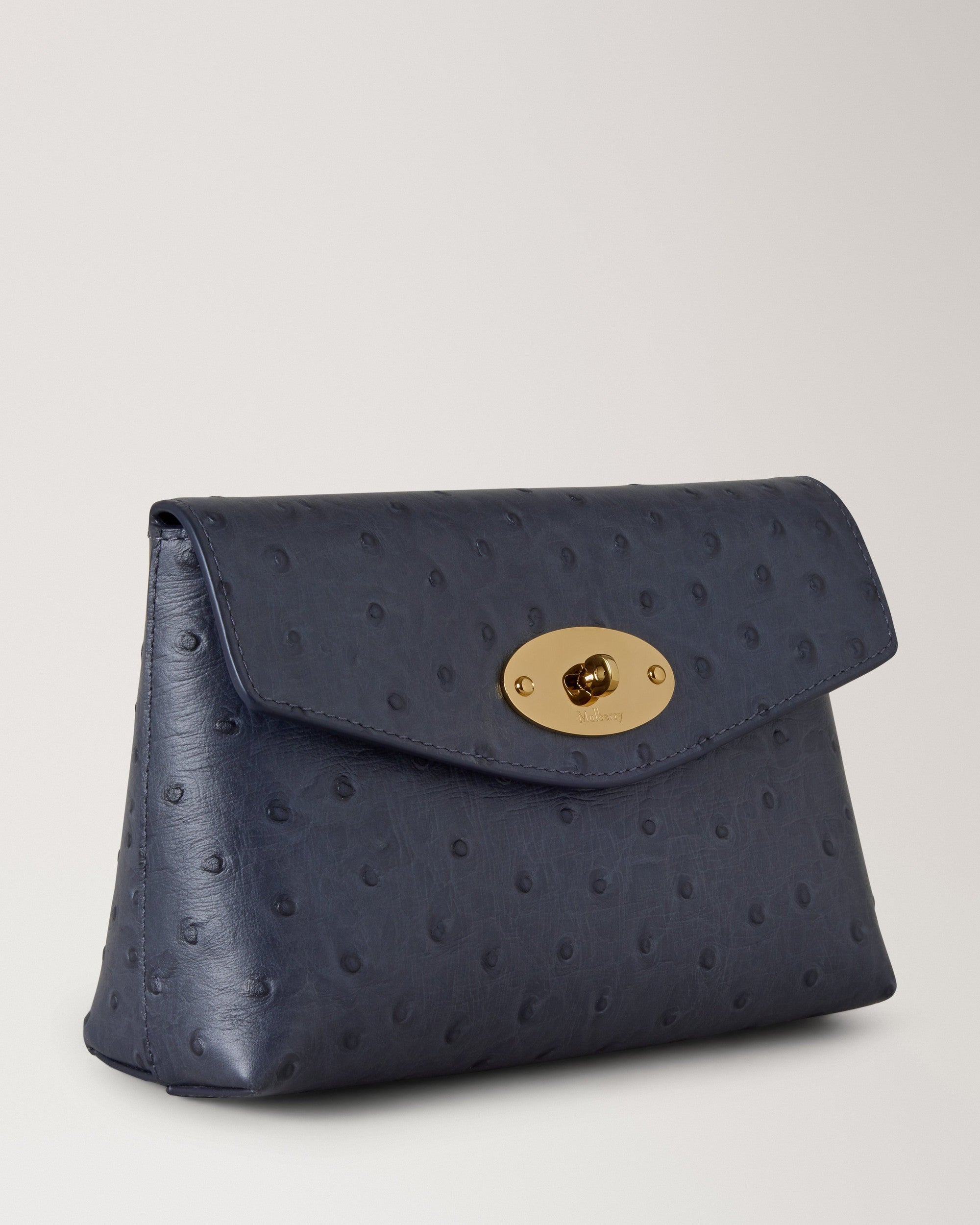 Darley Cosmetic Pouch Ostrich, Stormy Blue