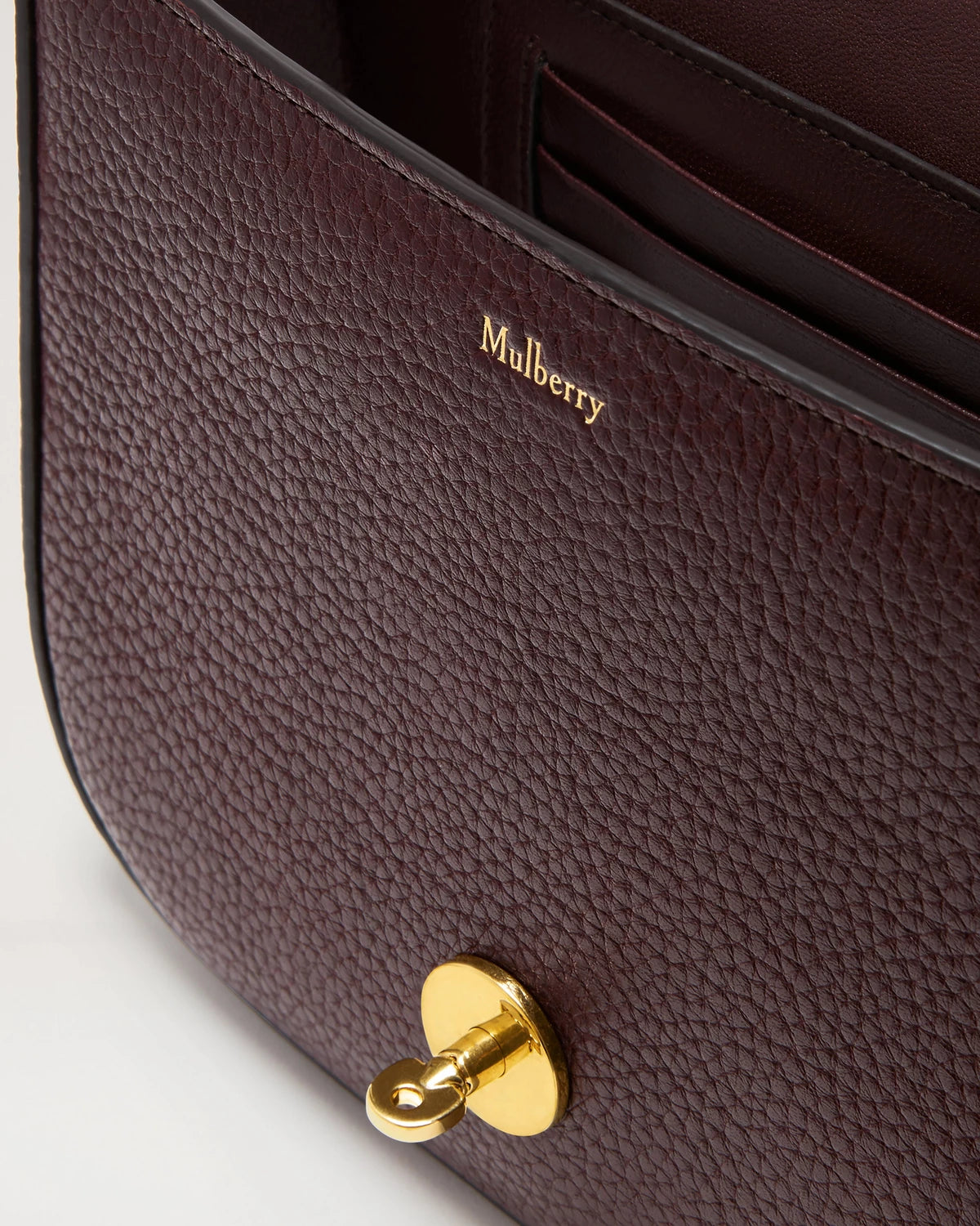 Small Darley, Satchel Oxblood
