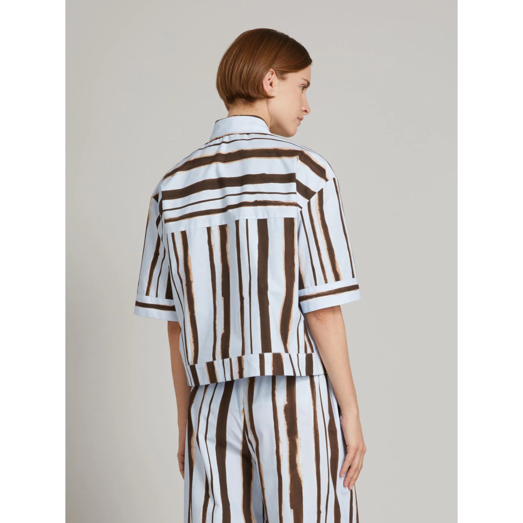 Pallore Blue Dark Brown Stripe Shirt