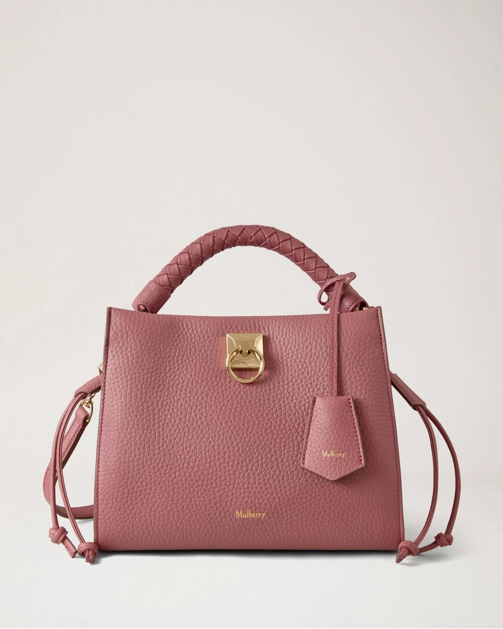 Small Iris, Pink Scrumpy