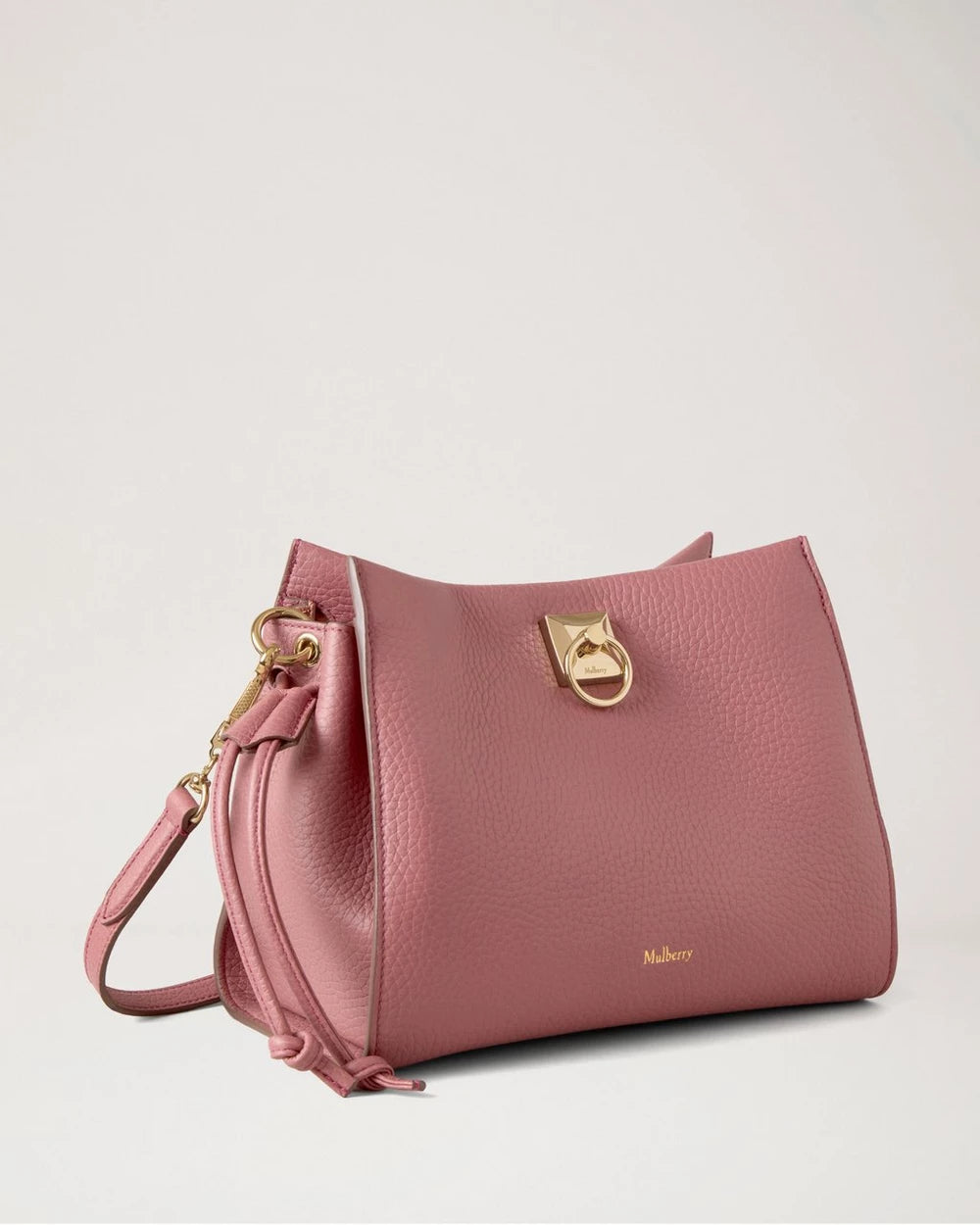 Small Iris, Pink Scrumpy