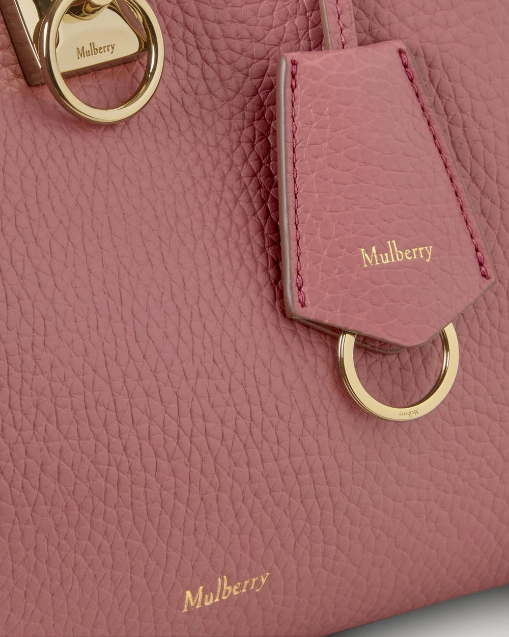 Small Iris, Pink Scrumpy