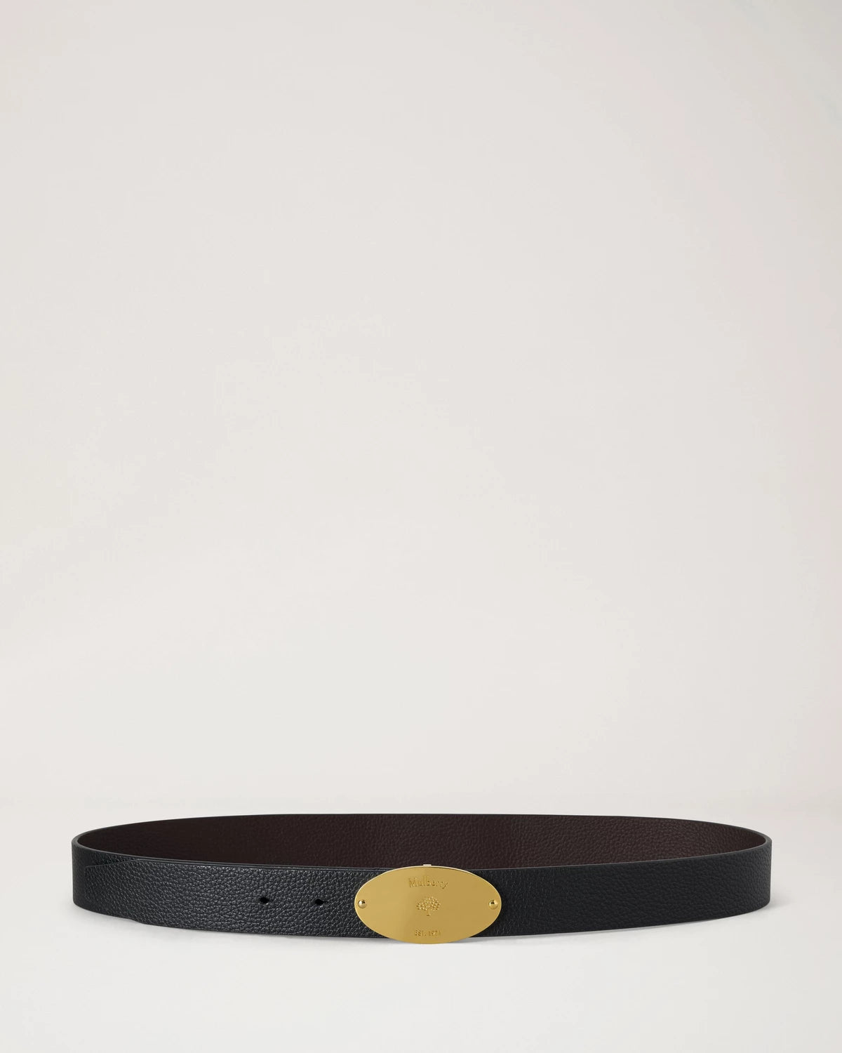 Plaque Belt, Ebony - Black