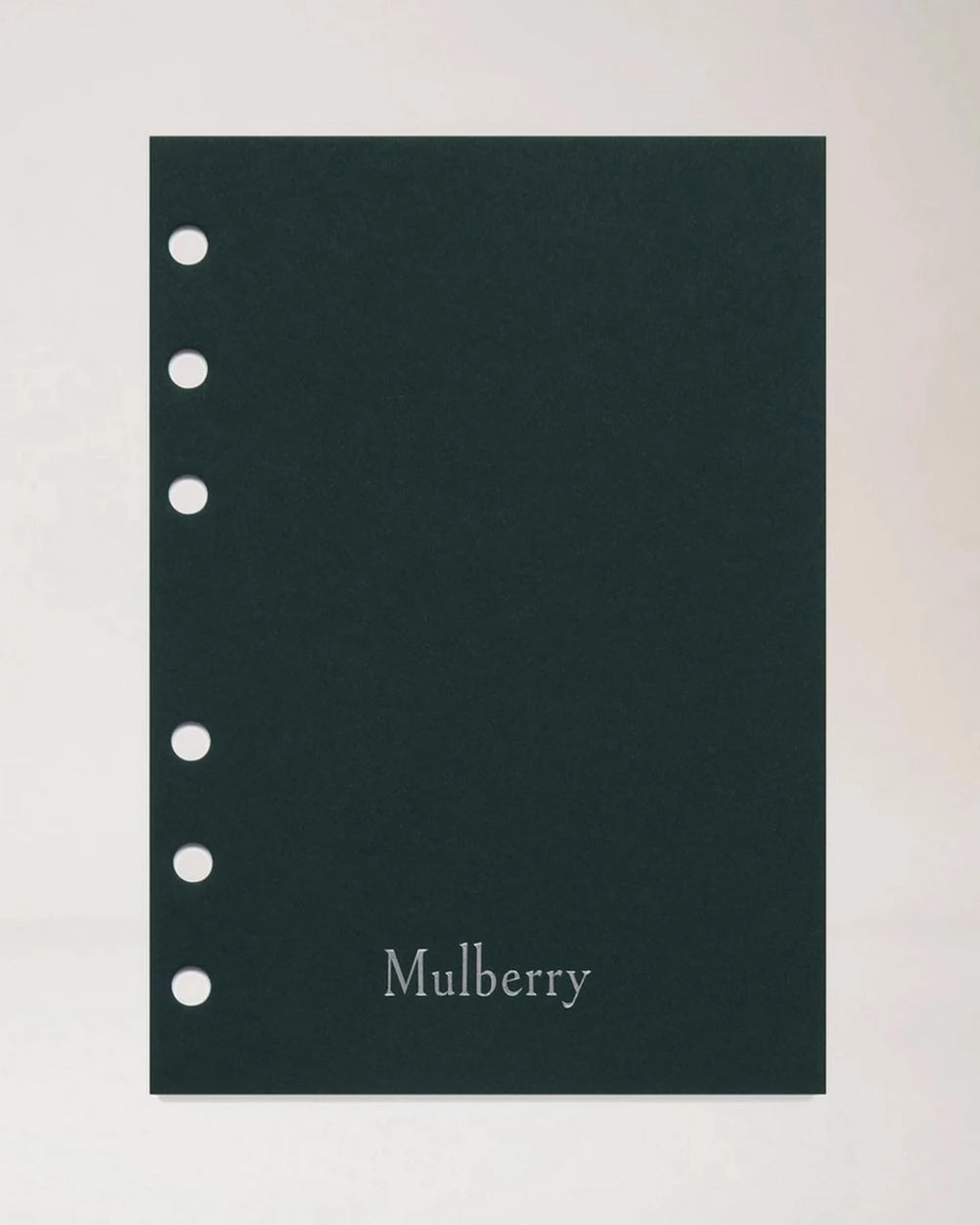 2027 Planner Diary Insert