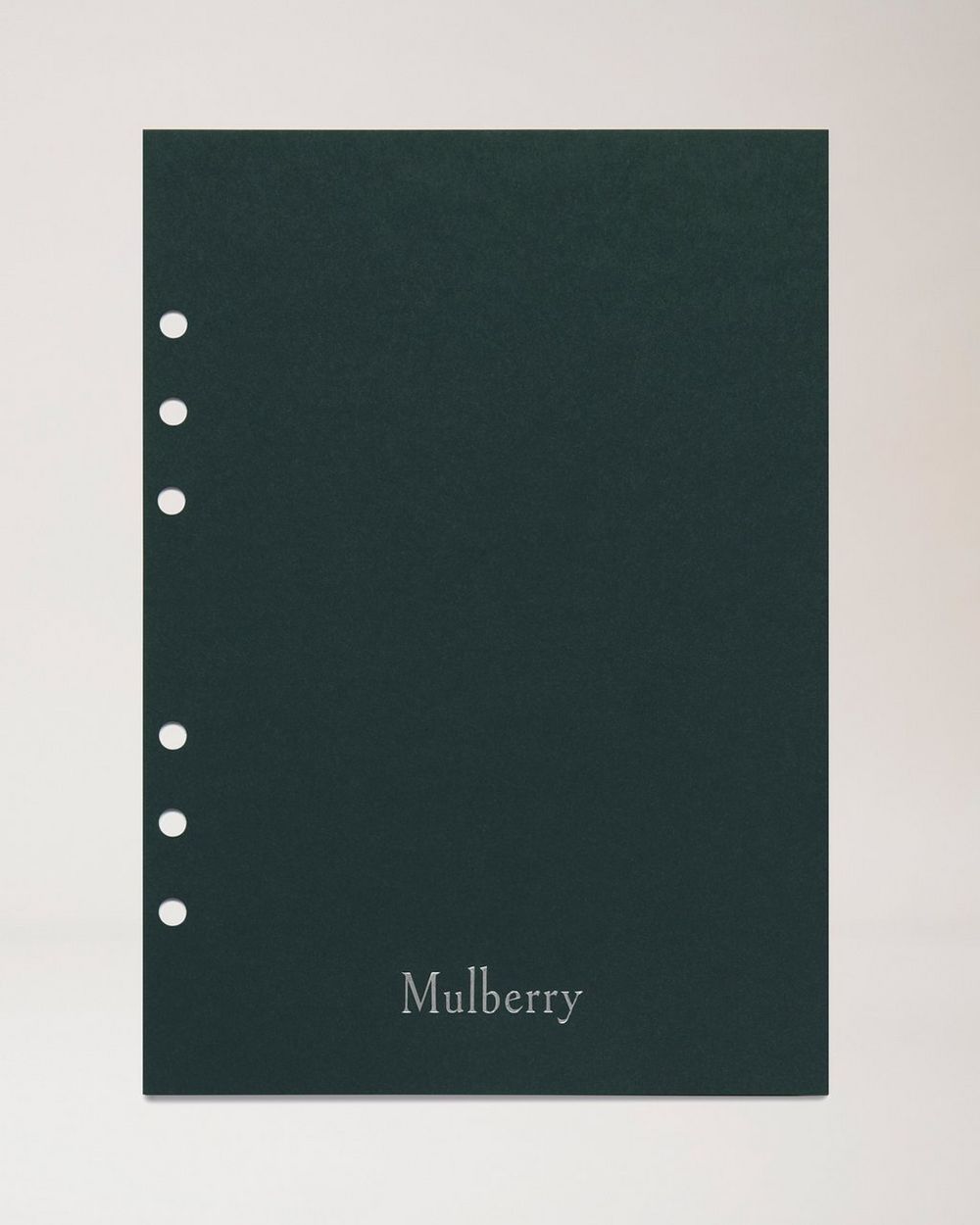 2025 Planner Diary