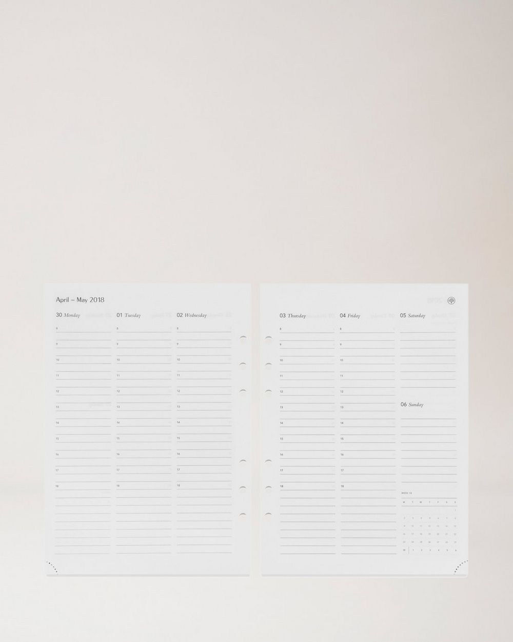 2025 Planner Diary