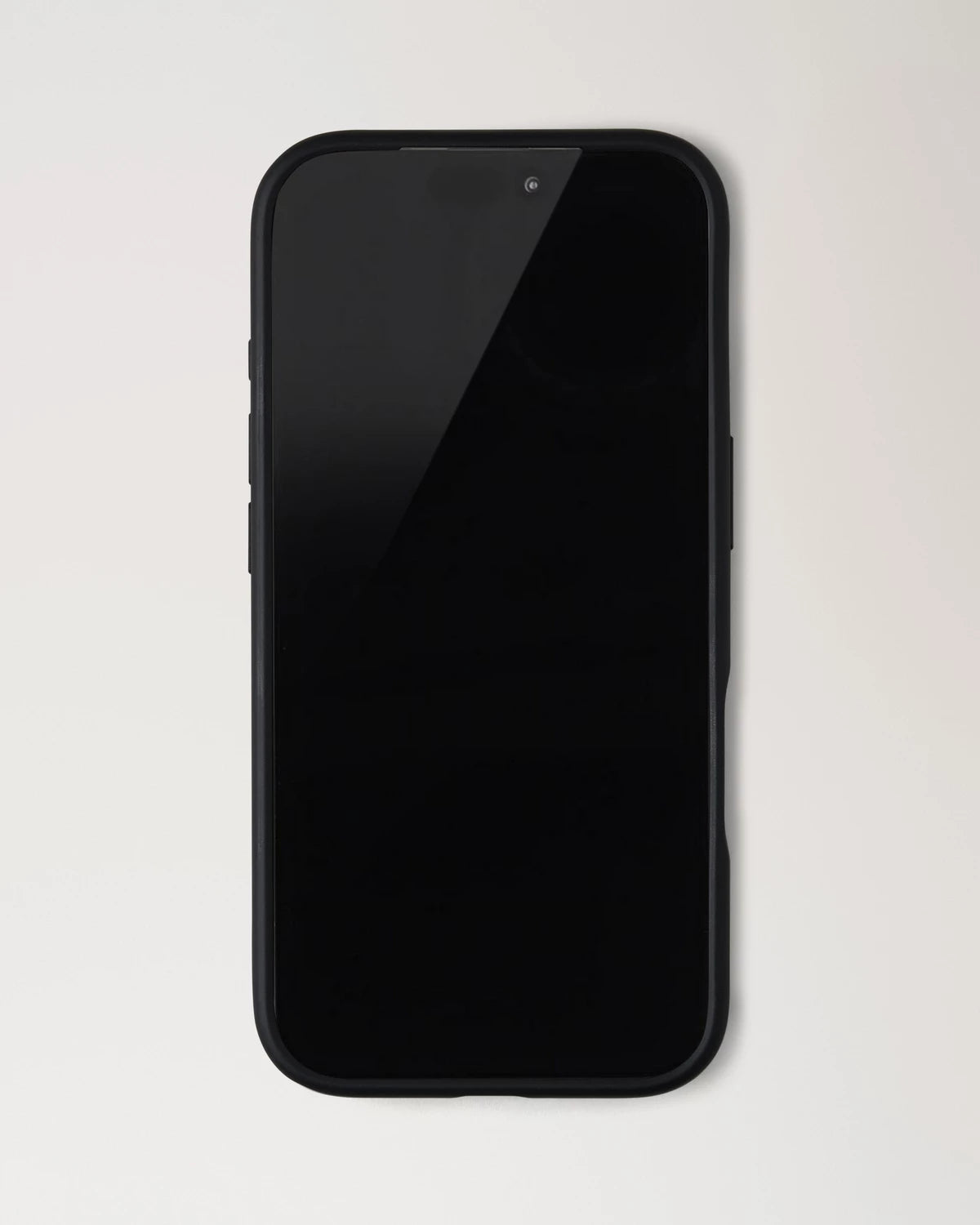 iPhone 17 case
