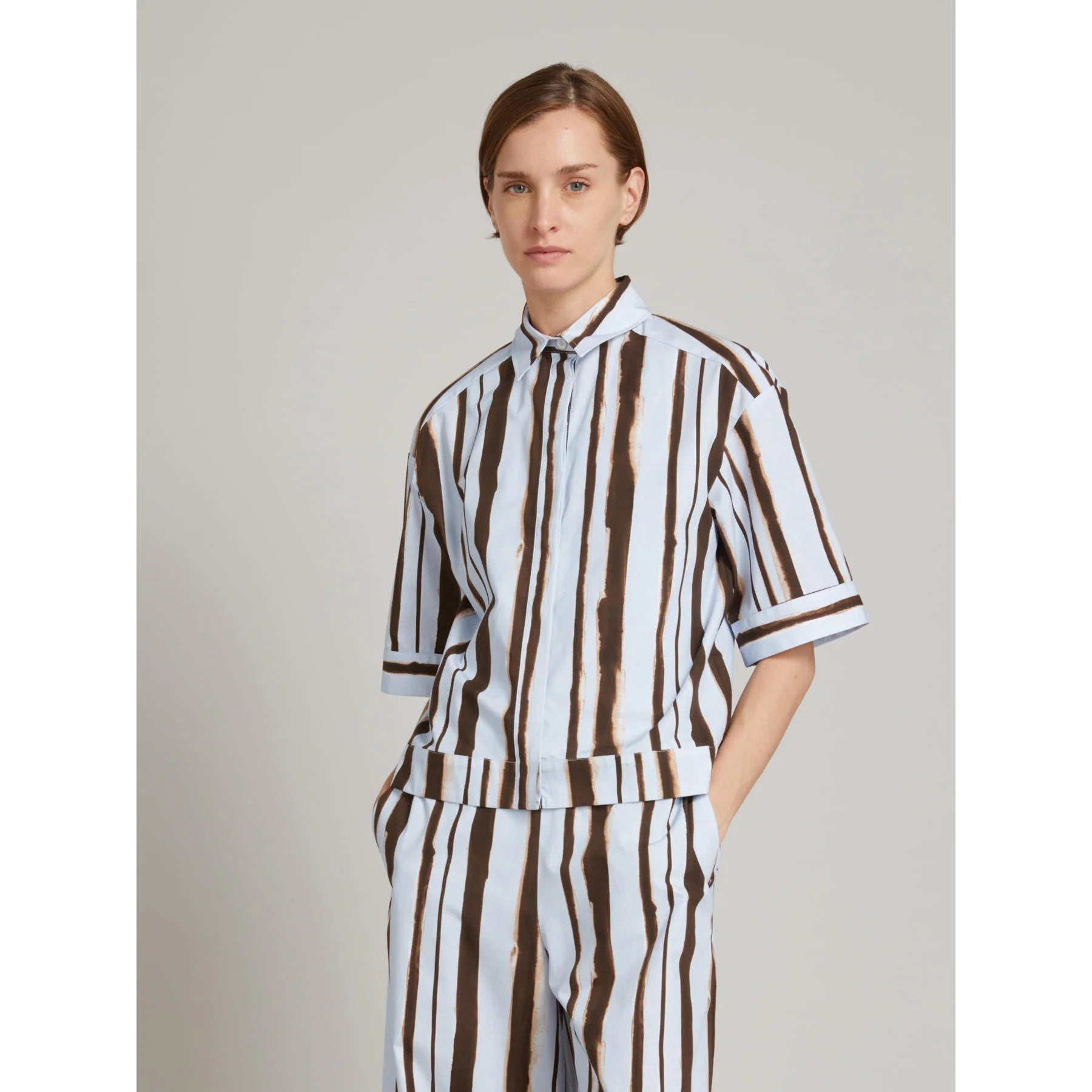Pallore Blue Dark Brown Stripe Shirt
