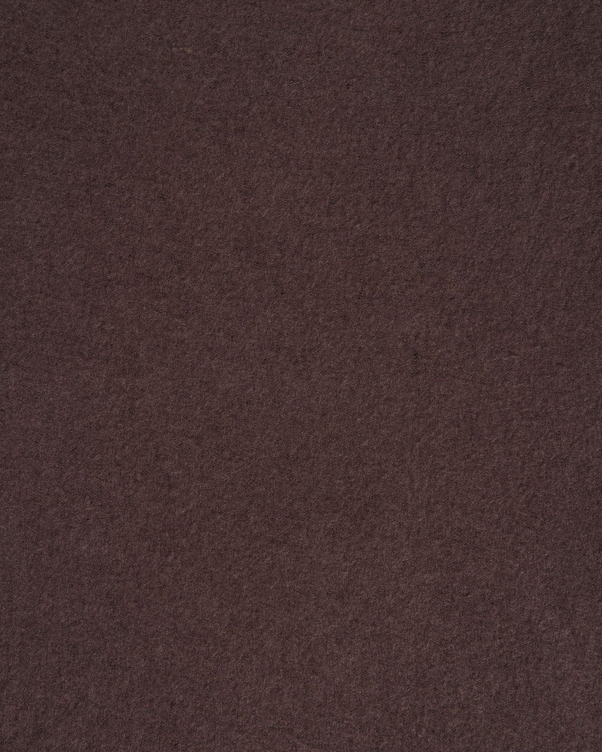 Himalaya Cashmere, Testa Moro